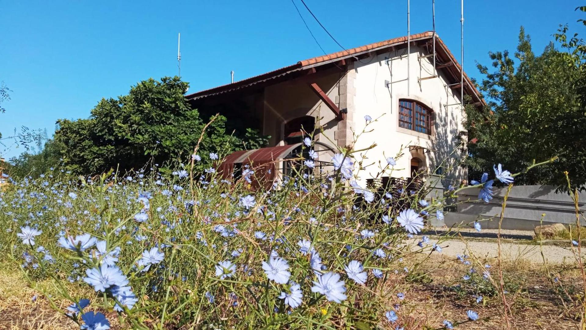 Albergue & Cafeteria Via De La Plata Hervas Bagian luar foto